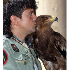 Una de las aves que participará en las jornadas de cetrería de León.