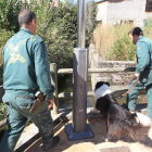 Una pareja de la Guardia Civil rastrea, con la ayuda de un perro, una zona próxima al río.