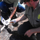 Los agentes medioambientales trabajan en la investigación de los incendios forestales.