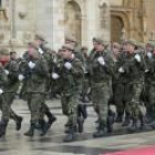 Mando de artillería de campaña de la fuerza de maniobra del ejército