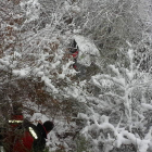 El vehículo quedó semioculto por las ramas cubiertas de nieve.