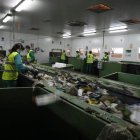 Imagen de trabajadores de Gersul en las cintas de separación de residuos, en el CTR.