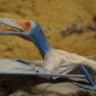 Reconstrucción virtual de un pterosaurio.