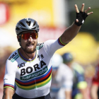 Peter Sagan celebra la victoria en la segunda etapa del Tour