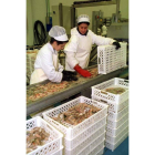 Elaboración de productos ultracongelados en Elmar.