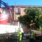 Foto facilitada por el PSOE que muestra la retirada de la maceta, ya sin magnolio.