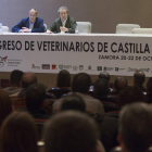 Un momento del Congreso de Veterinarios que ayer se clausuró en Zamora. MARIAM A. MONTESINOS
