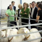 Cospedal visitó una feria agrícola en Albacete.