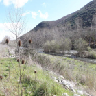 Imagen del cauce del río Sil en las inmediaciones del barrio de Flores.