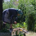 La inauguración se realizó en la bodega donde se han invertido más de 300.000 euros