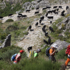 Cientos de reses retornan desde Extremadura a través de la calzada romana del Puerto del Pico.  SANCHIDRIÁN