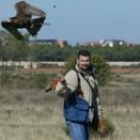 Uno de los cetreros participantes en estas octavas jornadas observa el vuelo de su halcón