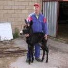 Miguel Marcos, junto al burro que acaba de nacer en la explotación de Las Candarias de Carrizo