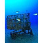 Carro de la compra depositado en el fondo marino
