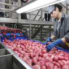 Agricultura e industria son dos sectores en los que crece el número de activos. RAMIRO