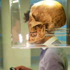 Un joven tras un cráneo del Museo de la Evolución.