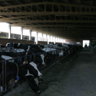 El ganadero cobra menos por la leche y paga más por alimentar su cabaña