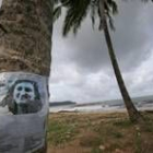 La foto de una turista desaparecida en el tsunami permanece en una palmera de Tailandia