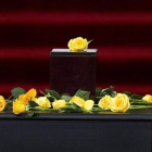 Las cenizas de Gabriel García Márquez junto a rosas amarillas durante el homenaje póstumo en México.