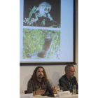 David M. Alba y Crusafont; abajo, cráneo del primate.
