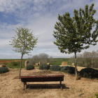 La despoblación rural es una de las enfermedades de León y gran parte de Castilla. JESÚS F. SALVADORES