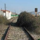 La maleza es una constante en la antigua línea de ferrocarril de la Vía de la Plata