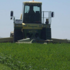 Una máquina de Ucogal siega alfalfa en una finca de Villaornate, en la vega del Esla.