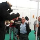 Los animales naturalizados de Valdehuesa atrajeron al público