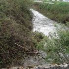 La foto está hecha por un vecino y denuncia los vertidos de aguas residuales directamente al lago.