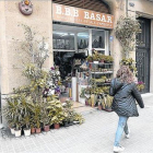 Venta de plantas.