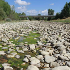 El río Torío a su paso por Villanueva de las Manzanas presenta un penoso estado.