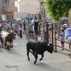 Un momento del encierro celebrado ayer por la tarde en Sahagún. ACACIO DÍAZ