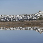 Las balas de basura llevan acumuladas en la finca El Busto desde 2005.