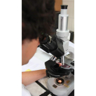 Imagen de archivo de uno de los laboratorios de la Universidad de León.