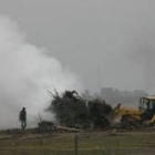 Quema para eliminar árboles con fuego bacteriano en La Cepeda