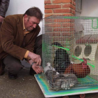 Un jaulón sirvió para trasladar a los pocos animales que se bendijeron en Las Grañeras.