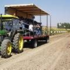 Los cultivadores de maíz, aprendiendo sobre la marcha