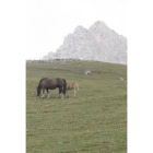 Babia dió un paso este fin de semana para recuperar Pinos
