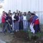 Los alumnos de Santa María de Carrizo, durante el Día del Árbol