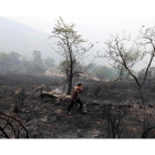El paisaje es desolador allí por donde pasó el fuego de este lunes, como se aprecia en la imagen por encima del pueblo de Silván. L. DE LA MATA