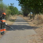 Un trabajador de la cuadrilla de Valencia de Don Juan realiza labores selvícolas en Villaornate. MEDINA