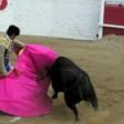 Un momento de la faena del novillero Mario Campillo, que ofreció un gran espectáculo al público