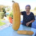 El calabacín de 14 kilos sujetado por su propietaria, Sinforosa García, en su huerta.