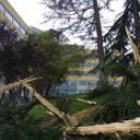 Espectacular estado en que quedó el campus de Ponferrada después de la tormenta