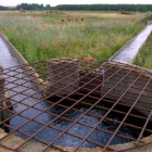 Fotografía de archivo de una acequia de la margen izquierda del Porma.