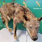 La Guardia Civil se incautó de un lobo naturalizado. DL