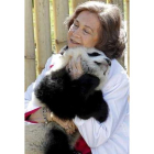 La Reina juega con uno de los dos osos panda en el zoo.