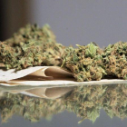 Marihuana en un club cannábico