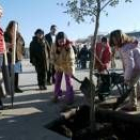 Marta, Jenifer, Carla y Noelia replantando el primer árbol del Virgen de la Encina