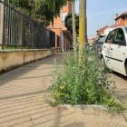 Los populares denuncia el abandono de calles y jardines. DL